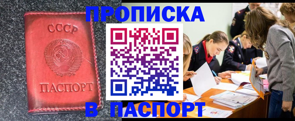 прописка для школы в Всеволожске